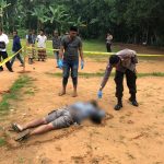 be50e7e5 3752 44f1 bb93 51b744b588bd rev