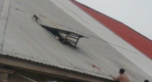 Monyet Lepas Gegerkan Warga Gersik