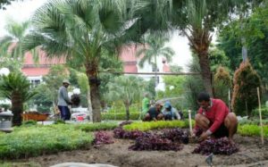Penataan Taman Surya Balai Kota Surabaya Sebelum Dibuka Untuk Publik