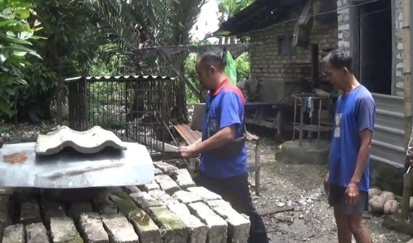 Monyet Lepas Di Bangkalan Serang Warga, 2 Orang Terkena Gigitan