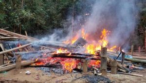 Polres Malang Grebek Arena Judi Sabung Ayam ; Di Bakar Hingga Sejumlah Pelaku Lari Terbirit Birit
