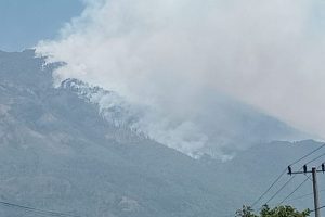 BPBD Upayakan Water Bombing Redakan Kebakaran Hutan Gunung Lawu