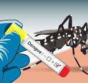 Kasus DBD di Situbondo Alami Kenaikan, Dinkes Minta Masyarakat Terapkan 3 M