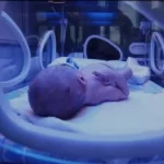 Screenshot 20240229 054540 3289819010