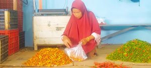 Jelang Ramadan, Harga Cabai di Jember Naik