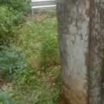 IMG 20240322 WA0002