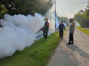 Cegah DBD, Dinkes Madiun Lakukan Fooging