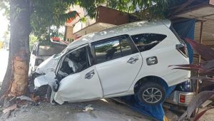 Sigra Seruduk Pohon Lalu Nyangkut di Rumah Warga Blitar