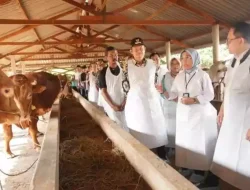 Stok Hewan Kurban di Jatim Aman, Pj Gunernur: Bebas PMK dan LSD