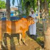 IMG 20240616 WA0072
