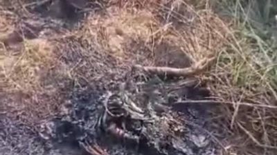 Penemuan Mayat Terbakar Gegerkan Warga Bangkalan