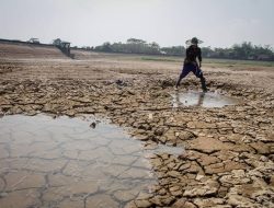 Hadapi Kemarau, BPBD Bangkalan Prediksi Puluhan Desa Rawan Kekeringan