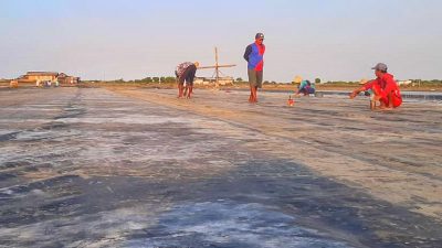 Cuaca Tak Menentu, Petani Garam di Sampang Panen Lebih Awal