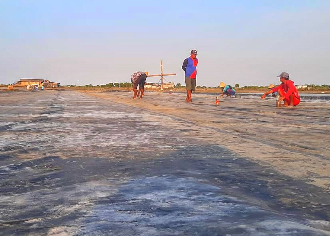 petani garam di sidoarjo