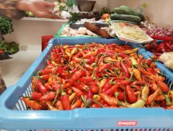 Stok Banyak, Harga Cabai di Pamekasan Menurun