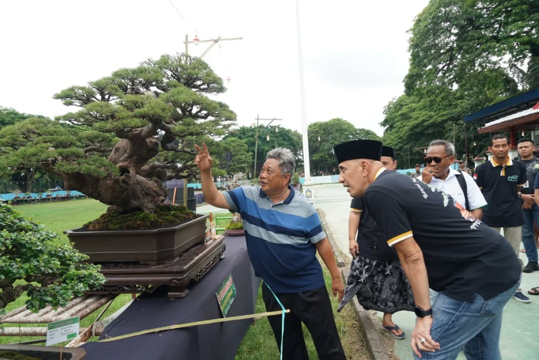 kabupaten bangkalan 64499747