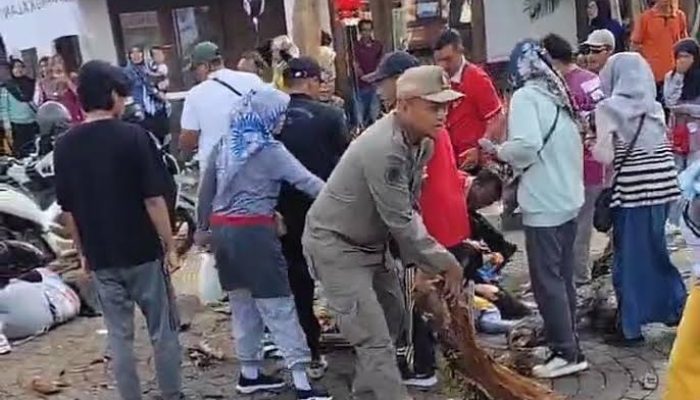 Tragedi di Pendapa Bangkalan: Guru dan Siswa SD Tertimpa Pohon, Satu Meninggal Dunia