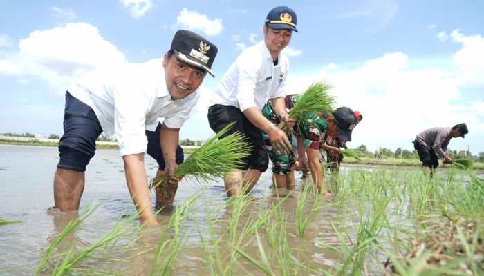 Bupati Bangkalan Dorong Petani Tanam Padi Empat Kali Setahun di Musim Kemarau