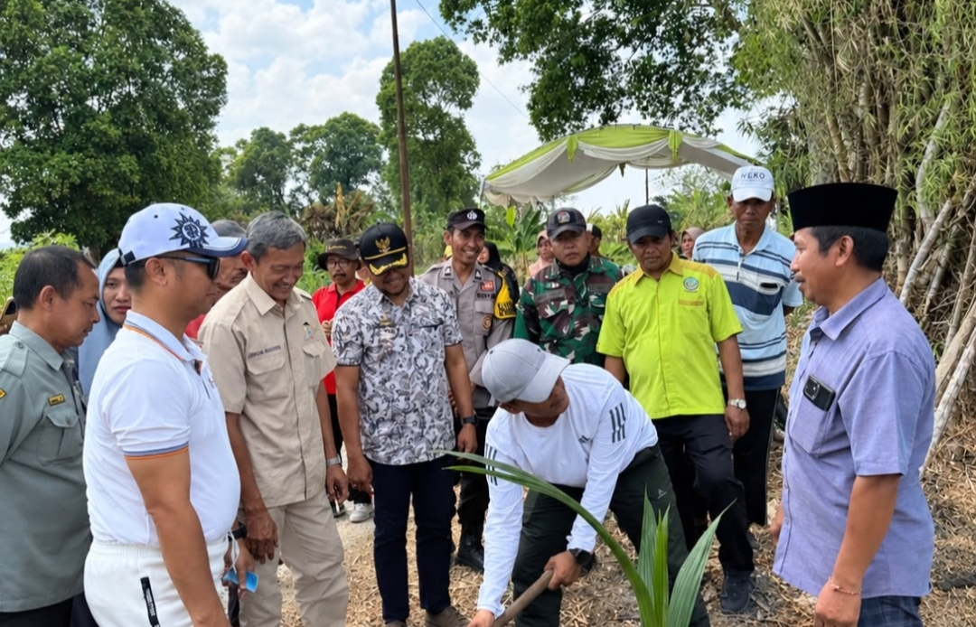 Bupati Bangkalan Tanam Bibit Kelapa, Dorong Komoditas Jadi Kekuatan Ekonomi Baru 3 Screenshot 2026 09 24 14 16 47 85 99c04817c0de5652397fc8b56c3b3817